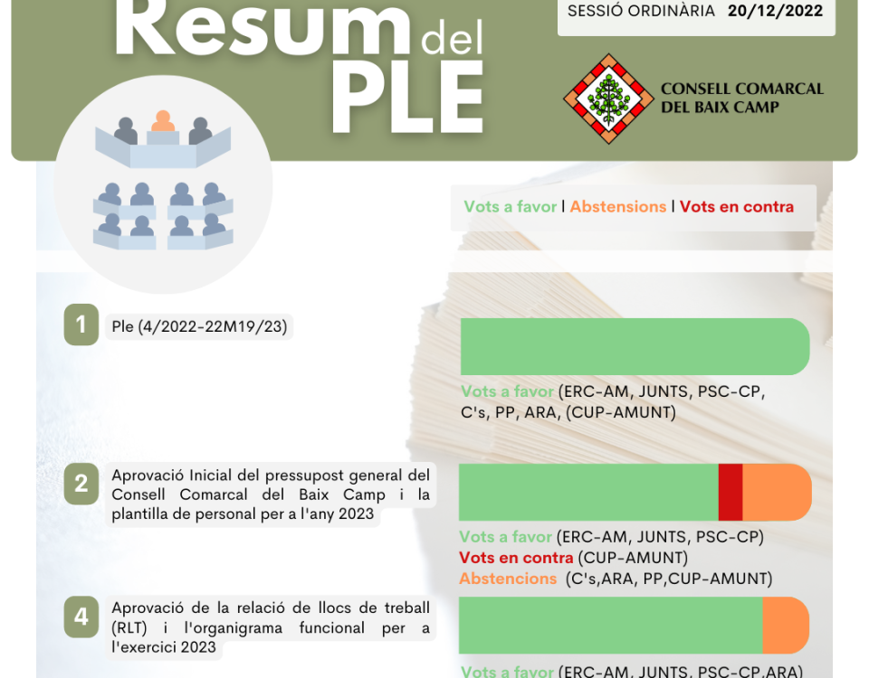 Resum ple 20/12