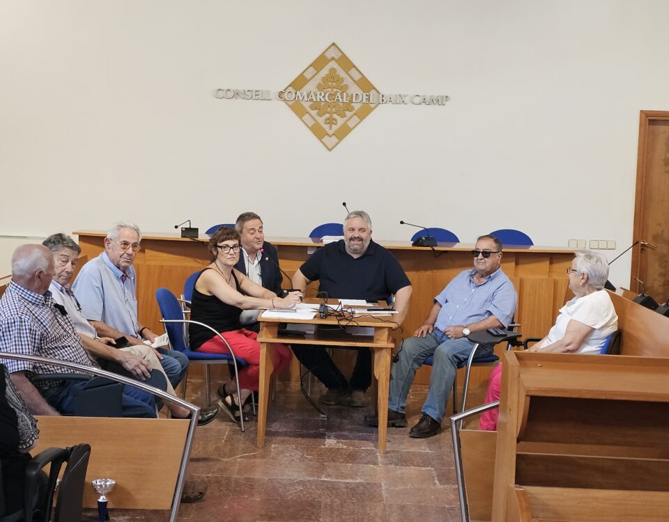 Consell Consultiu de la Gent Gran