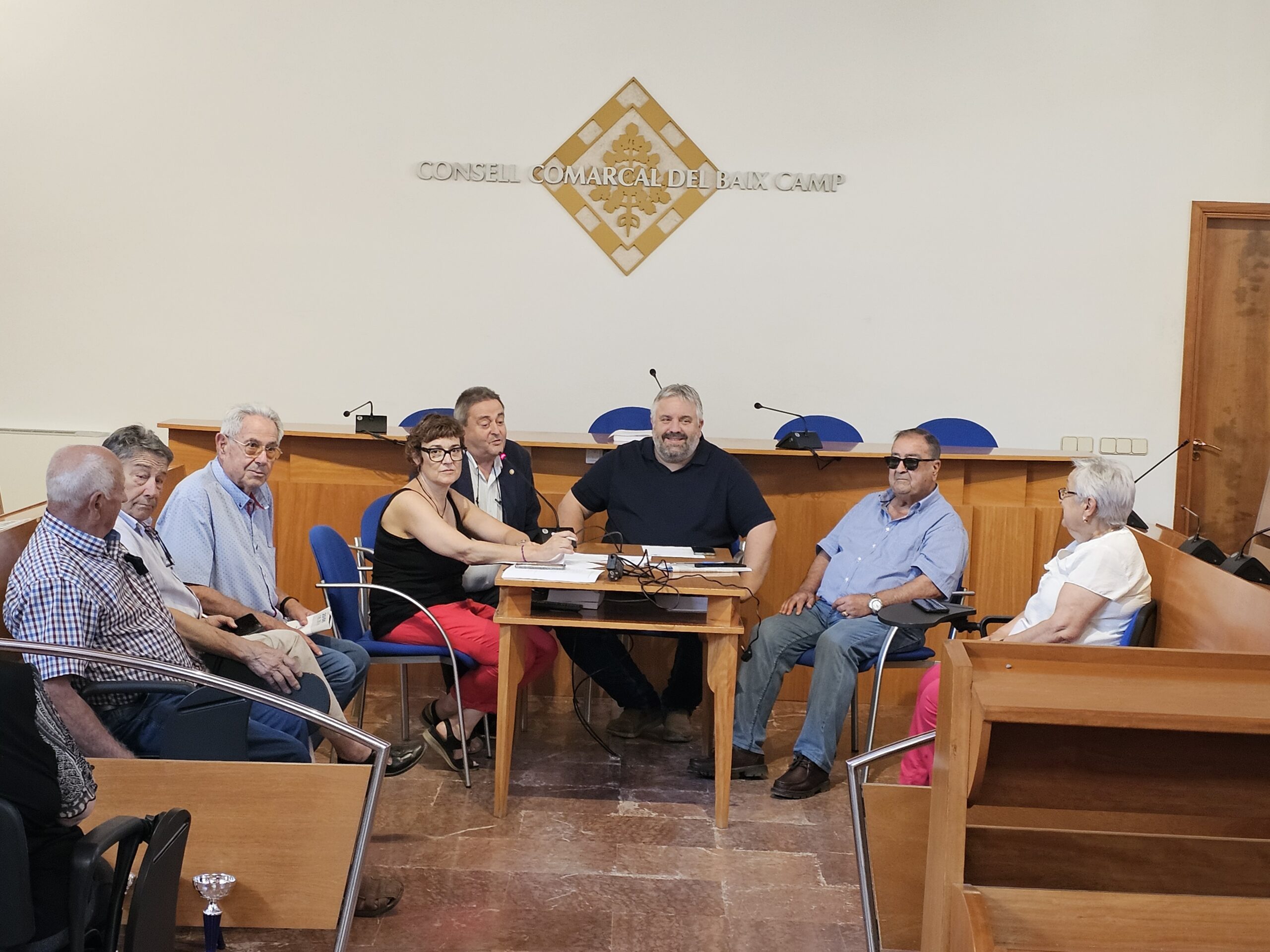 Consell Consultiu de la Gent Gran