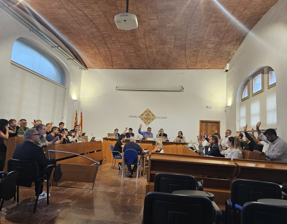 Ple extraordinari del Consell Comarcal del Baix Camp