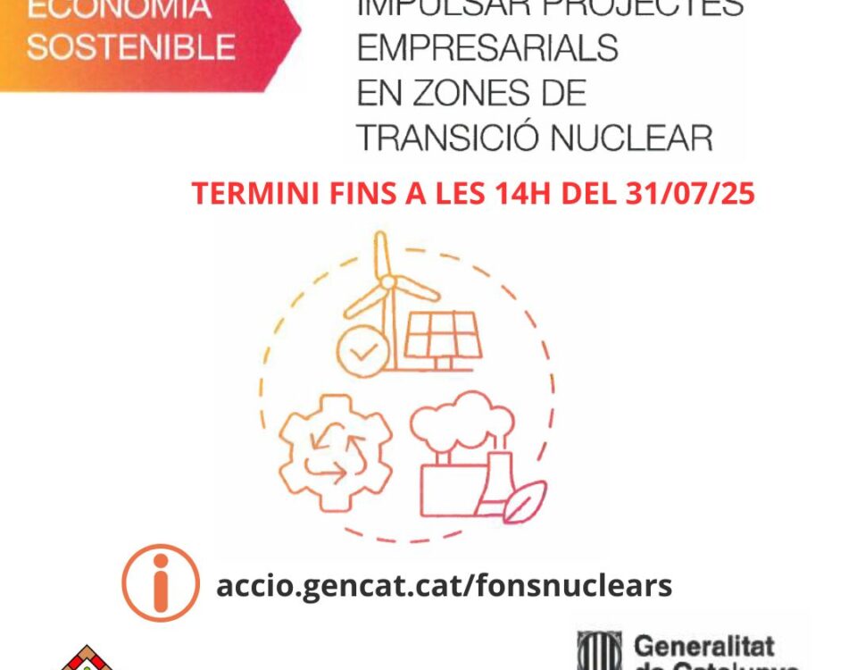 Ajuts fons de transició nuclear
