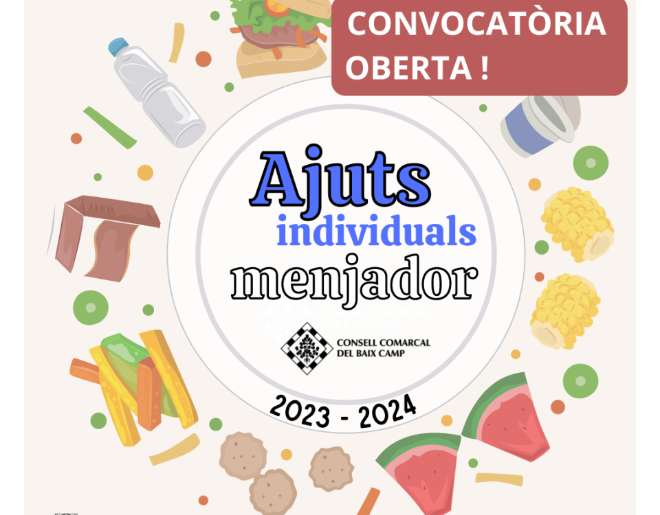 Ajuts individuals beques menjador