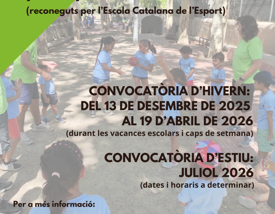 Cursos Monitor/a dinamitzador/a poliesportiu