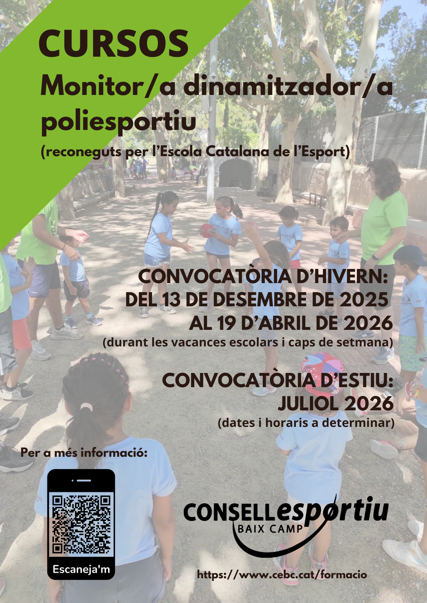 Cursos Monitor/a dinamitzador/a poliesportiu