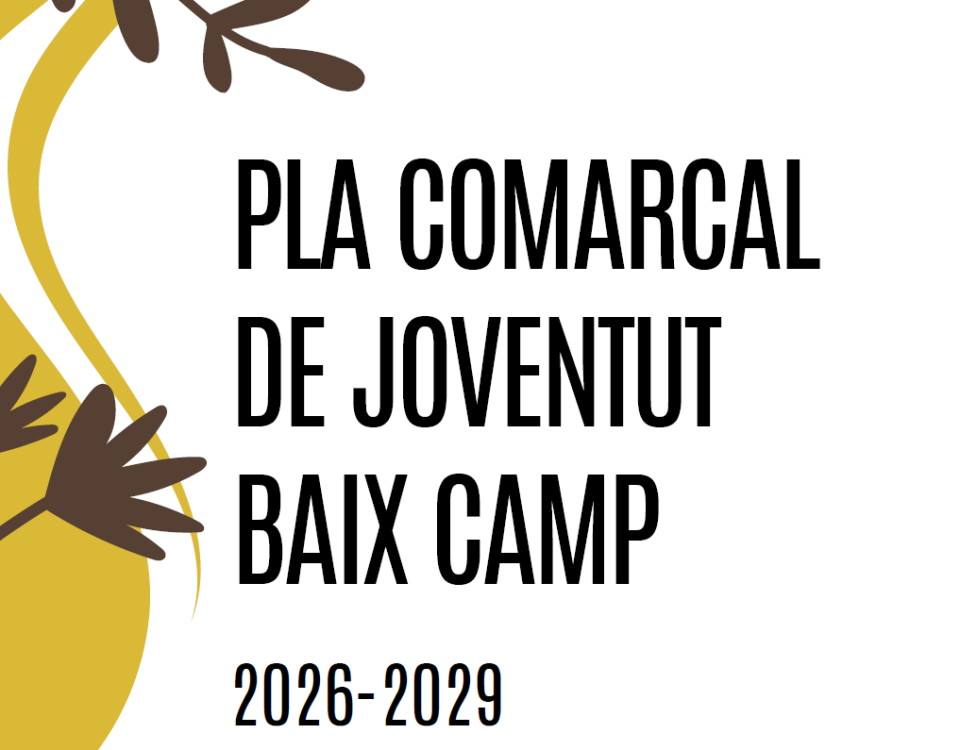 Pla Comarcal de Joventut