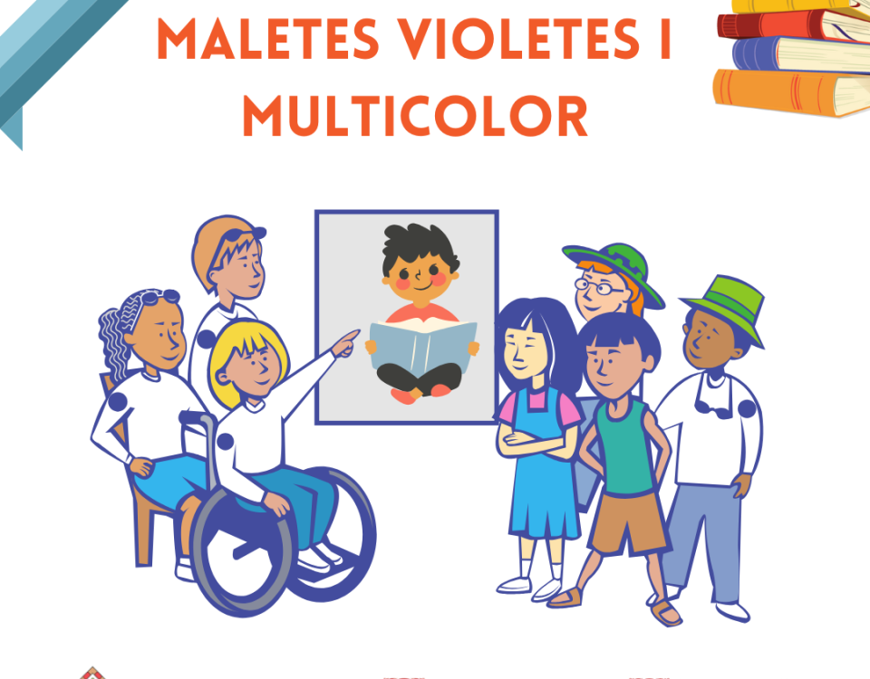 Maletes violeta i multicolors