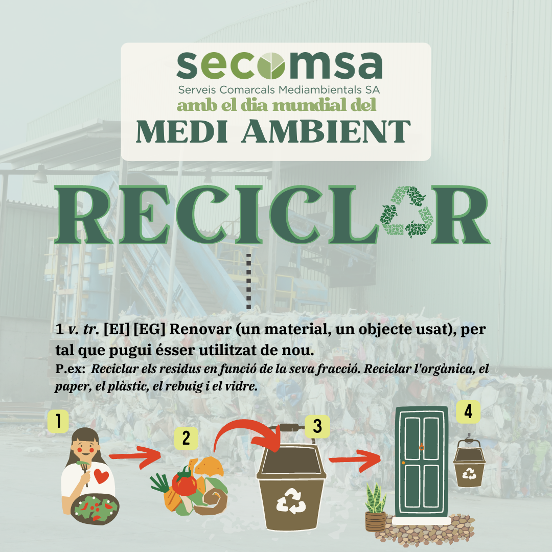 Dia Mundial del Medi Ambient