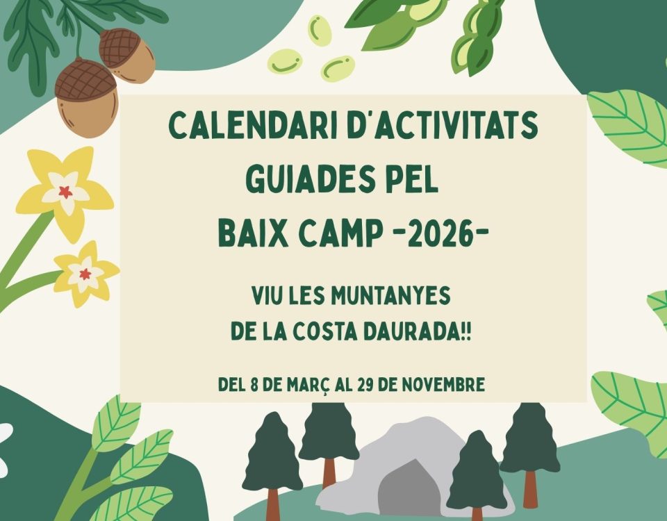 Calendari activitats turisme