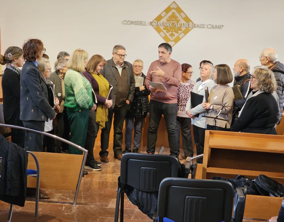 Consell Consultiu de la Gent Gran