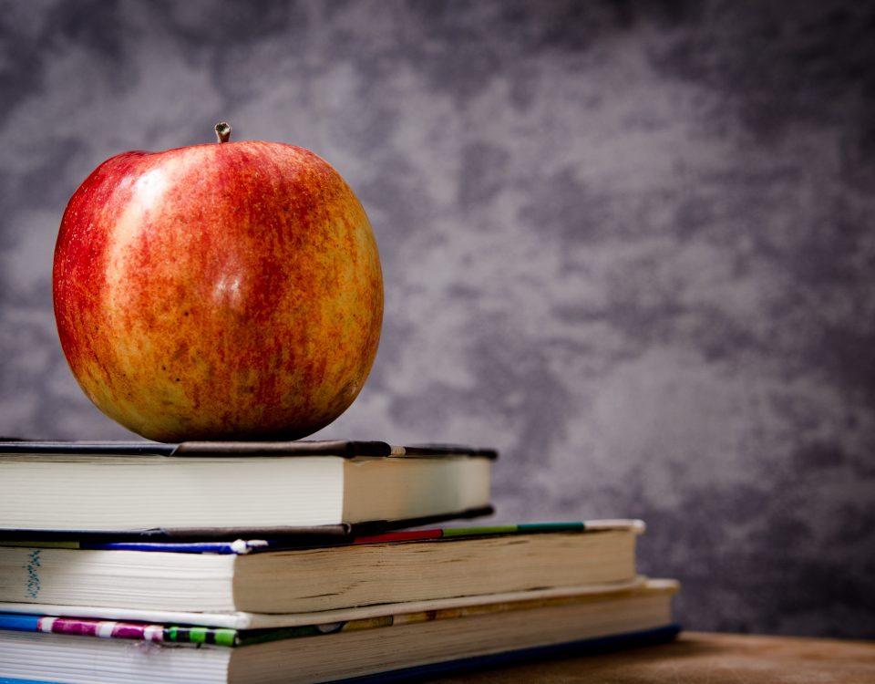 Ajudes de menjador escolar