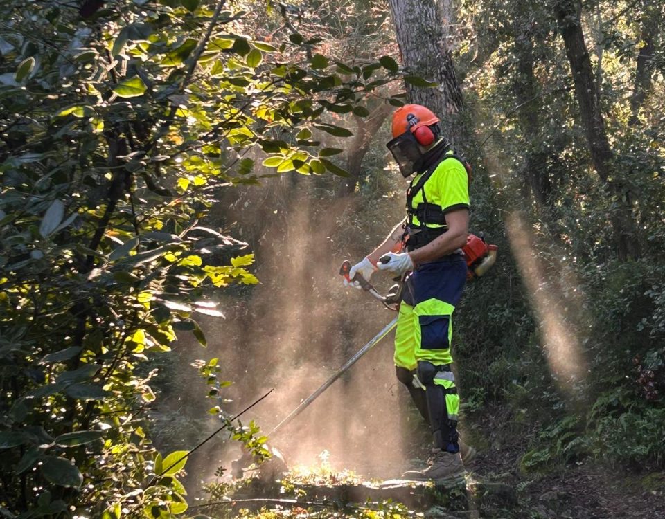 Imatge de la brigada dels plans d'ocupació de la Diputació de Tarragona al Baix Camp