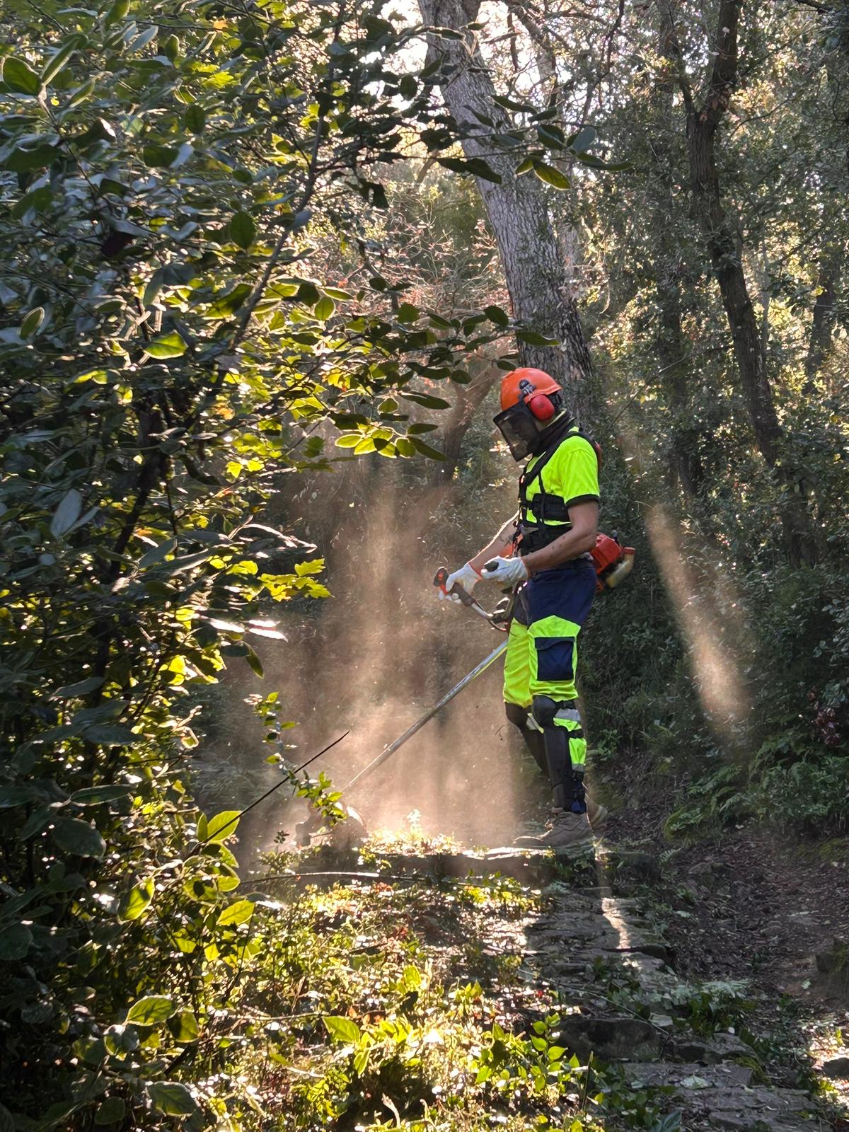 Imatge de la brigada dels plans d'ocupació de la Diputació de Tarragona al Baix Camp